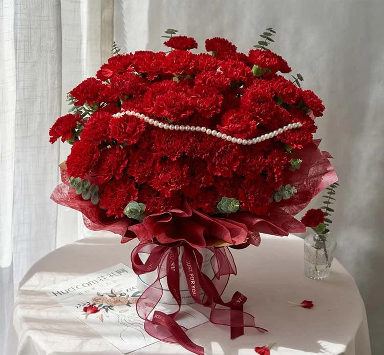 感恩陪伴/红色康乃馨抱抱桶，红色康乃馨66枝，尤加利叶15枝