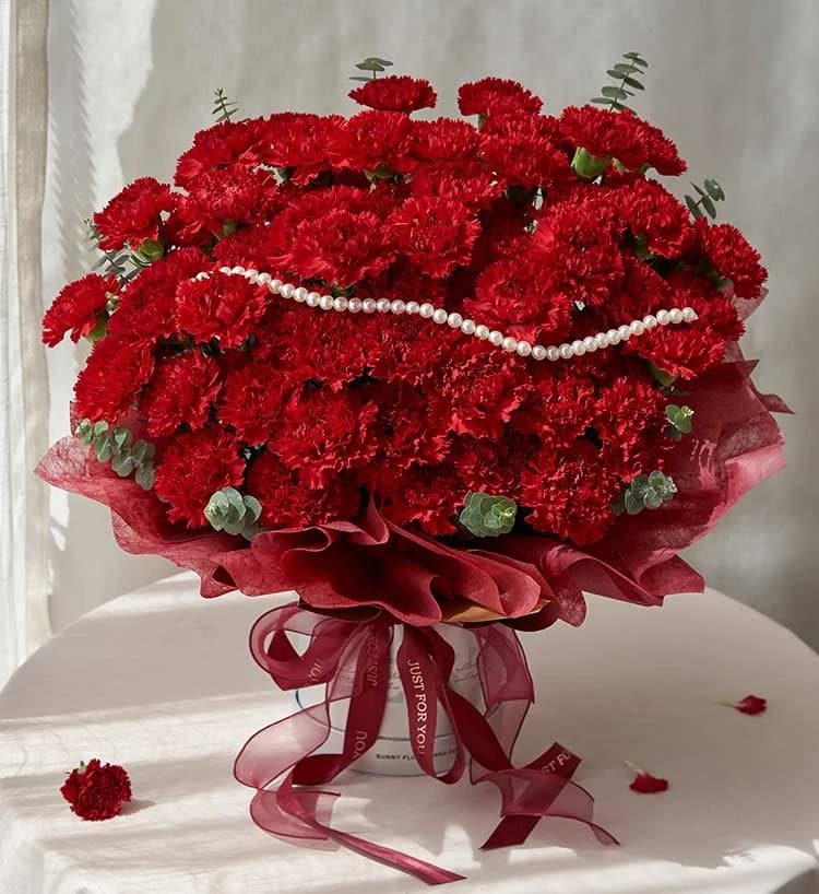 感恩陪伴/红色康乃馨抱抱桶，红色康乃馨66枝，尤加利叶15枝 - 1