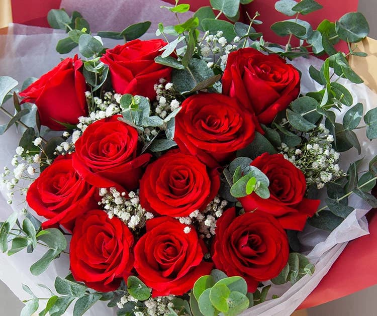 你是唯一卡罗拉红玫瑰11枝，满天星、尤加利